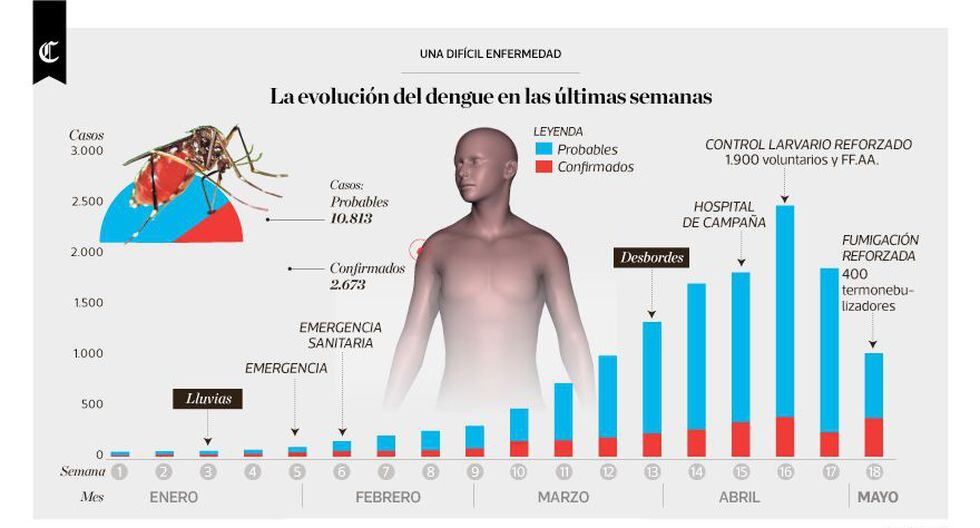 Perú Infografía la evolución del dengue en las últimas semanas