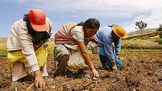 Midagri: Proyecto de la segunda reforma agraria busca asegurar la alimentación con producción nacional