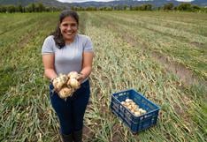 ‘Emprendiendo mujer’ busca atender a más de 25 mil emprendedoras peruanas