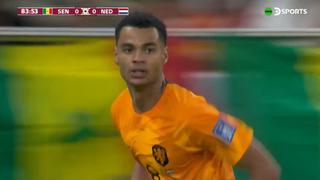 Gol de Cody Gakpo para Países Bajos: así fue el 1-0 sobre Senegal en el Mundial | VIDEO