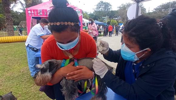 La segunda edición de la Feria de mascotas organizada por la Municipalidad de Lima tendrá servicios gratuitos. (Foto: DIfusión)