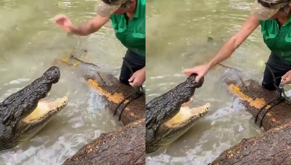 VIDEO VIRAL | “¡Sal de aquí! ¡Vete!”: aventurero ahuyentó un cocodrilo de 4  metros como si fuera un perro | Instagram | Australia | Matt Wright |  Bonecruncher | Animales | nnda nnrt | VIRALES | MAG.