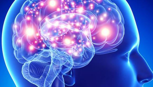 El cerebro también es afectado por el covid. (Foto: Shutterstock)