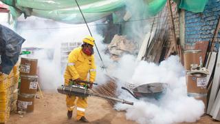 Fumigan viviendas para prevenir dengue, zika y chikungunya