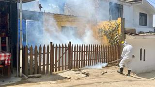 Dengue se consolida en Lima: número de casos en la capital alcanza cifra sin precedentes y declaran en emergencia a 20 regiones