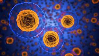 Nobel de Medicina 2019 | ¿Cómo las células “sienten” el oxígeno y por qué esto es importante para el organismo?