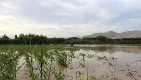 El desborde del río y la caída de huaicos afectó los campos de cultivos de 100 pequeños agricultores. Foto: GEC/referencial