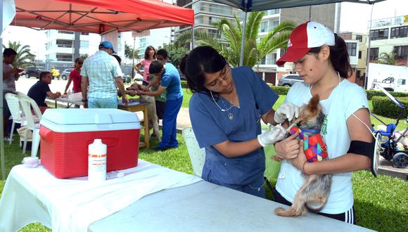 Muchos municipios realizan campañas de salud gratuitas para mascotas, ahí tendrás la opción de vacunar y desparasitar a tus mascotas a bajo o cero costo.
