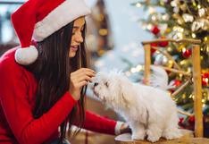 Navidad: ¿Qué alimentos puedes darle a tu mascota y cuáles están prohibidos?