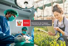 Entérate sobre las 10 carreras con los sueldos más altos en el Perú, según el Ministerio de Trabajo