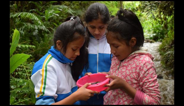 Los niños aprenden a reconocer indicadores de calidad del agua. Eso puede hacer una gran diferencia. (Foto: Difusión)