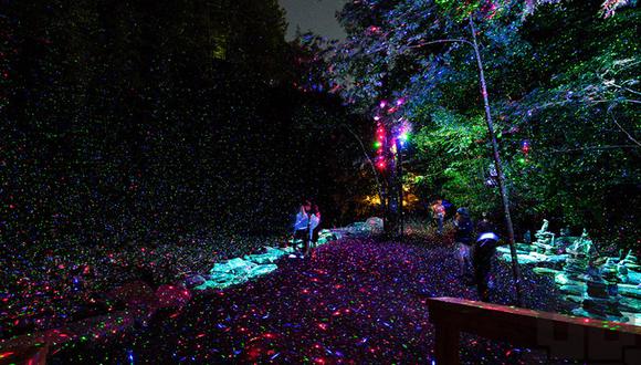 Bosque de luces: Esta instalación artística sorprende en Canadá