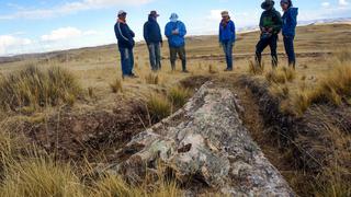 Un árbol fósil ayuda a recrear el Perú prehistórico