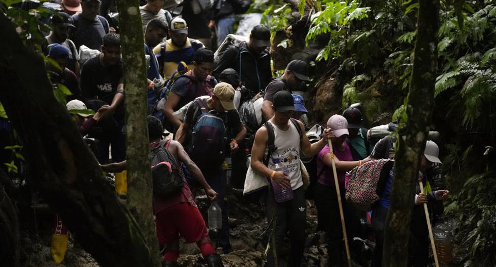 Migrantes, en su mayoría venezolanos, cruzan el Tapón del Darién desde Colombia hacia Panamá con la esperanza de llegar a Estados Unidos, el sábado 15 de octubre de 2022. (Foto AP/Fernando Vergara).