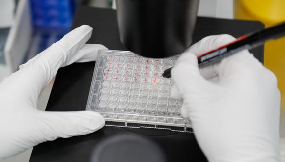 Archivo del 20 de mayo de 2020. Un científico examina las células infectadas durante la investigación de una vacuna contra el coronavirus (COVID-19) en un laboratorio de la compañía de biotecnología BIOCAD en San Petersburgo, Rusia. (REUTERS/Anton Vaganov).