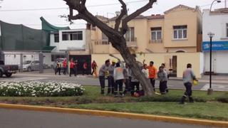 Obreros peruanos cantaron y retaron a hinchas chilenos