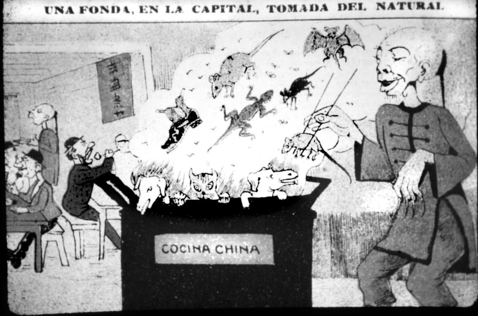 Entre los siglos XIX y XX, los migrantes chinos fueron acusados de ser los culpables de la propagación de la fiebre amarilla. (Foto: Libro Pandemia y salud Pública, de Jorge Lossio)