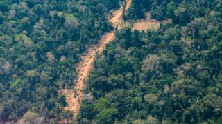 Miles de hectáreas perdidas: Perú en el ‘top ten’ de bosques primarios más deforestados en 2019