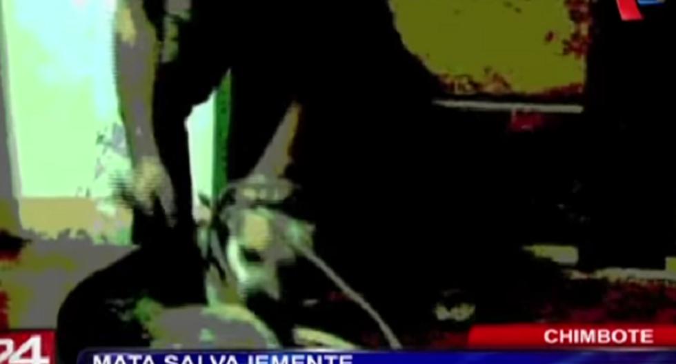 Maltrato animal en Chimbote: Asesinó a perro de 15 martillazos. (Foto: Captura de Canal 5)