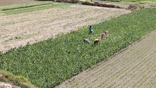 Segunda Reforma Agraria: Midagri impulsará declaratoria de emergencia del agro