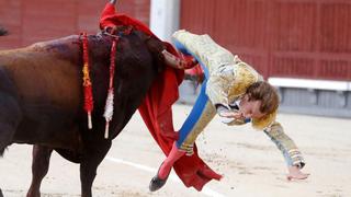 Torero español Román Collado sufre una terrible cornada en la pierna