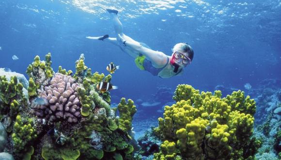 ONU podría declarar en peligro la Gran Barrera de Coral