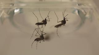 La gripe se anticipa en Brasil y luego del zika