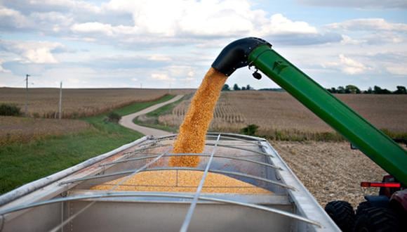 El precio del maíz ganaba un 4%, mientras que la soja subía un 2,6%. (Foto: AFP)