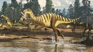 El dinosaurio más pequeño que un canguro recién descubierto en Australia