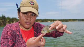 Estudiantes y egresados de la UNAP registran nueva especie de pez en Pantanos de Villa
