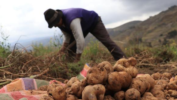 Ejecutivo destinará más de S/ 1,000 millones adicionales para asegurar la campaña agrícola 2022-2023. Foto (GEC)