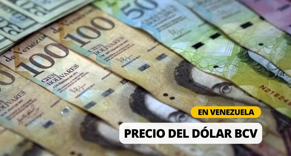 Precio dólar BCV hoy en Venezuela (Instagram) | Tasa de cambio oficial, según el Banco Central de Venezuela | Foto: Diseño EC