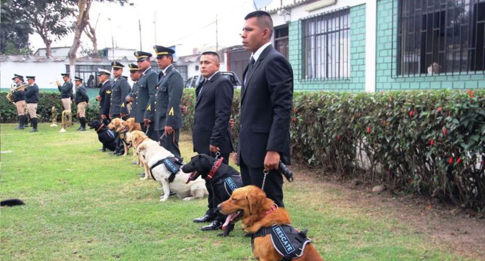 Perros capacitados en búsqueda de personas (Foto: Andina)