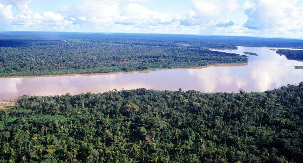Se creó dos nuevas áreas naturales de conservación regional en bosques de la Amazonía, que en su conjunto abarcan cerca de 63.000 hectáreas. (Foto: Getty Images)