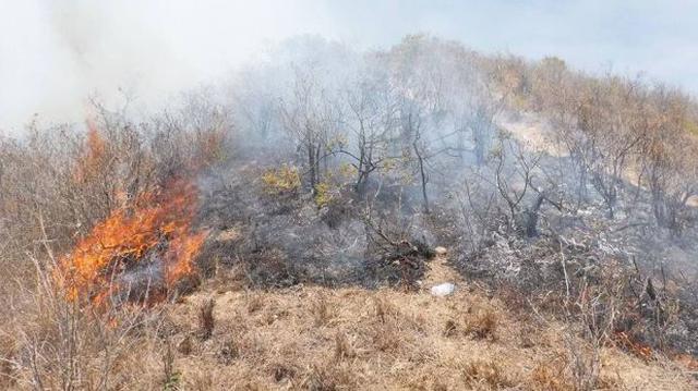 Lambayeque: incendio amenaza a moradores de tres distritos - 2