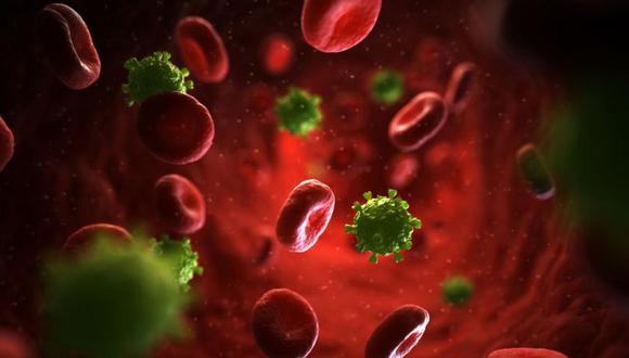 El blanco del virus son los linfocitos CD4. (SCIENCE PHOTO LIBRARY)