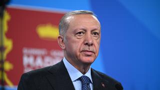 Erdogan confirma que Turquía pagará el gas ruso en rublos
