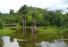 Clima: Congreso elaborará proyectos ambientales con líderes amazónicos