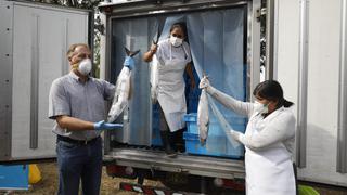 Coronavirus en Perú: Jorge Muñoz pide claridad en entrega de productos de primera necesidad | FOTOS 