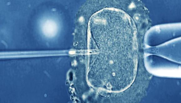 La pareja iba a someterse a un procedimiento de FIV y tenía varios embriones congelados. (Foto: Science Photo Library)