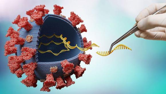 En total, la variante ómicron posee 32 mutaciones en la proteína spike, usada por el SARS-CoV-2 para ingresar a las células. (GETTY IMAGES)