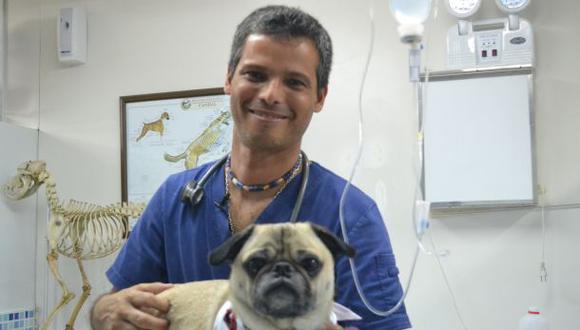 "Ser veterinario es lidiar día a día con la muerte"