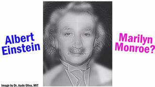 YouTube: ¿Einstein y Marilyn Monroe son la misma persona?