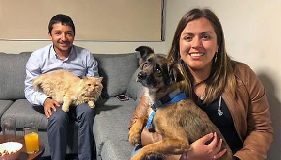 Mientras se preparan para postular a un Master en el extranjero, Jocelyn Nogueira y Renato Bellido usan estos meses para darle un hogar a Chester y rehabilitarlo. (Foto: Andrea Carrion)