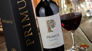 Veramonte Primus Carmenere: Giovanni Bisso nos habla sobre este vino orgánico