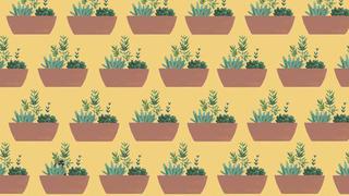 Reto visual: ¿eres capaz de encontrar al gato escondido entre las plantas?
