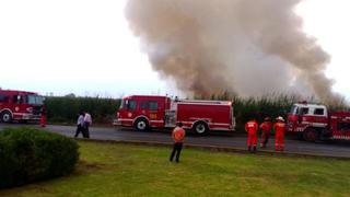 Incendio en pantanos de Villa: bomberos rescataron a un herido