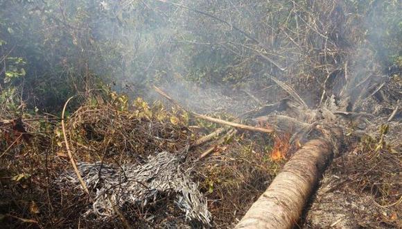 Loreto: incendio forestal no puede ser controlado tras 3 días