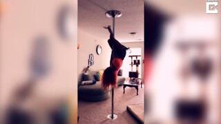 Exhibía su destreza en el pole dance cuando su loro se robó el show repentinamente