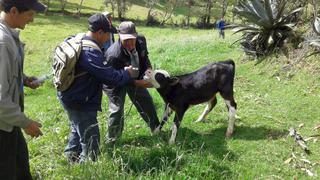 Campesinos de Piura mejoran sus conocimientos de veterinaria